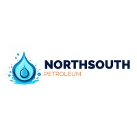 NorthSouth Petroleum Kazakhstan logo - Similar company to Mcf Services Llp