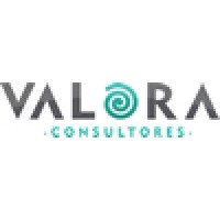 Valora Consultores logo - Similar company to Braga Consultoria Tributária E Empresarial Ltda