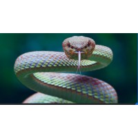 N-It91 logo - Similar company to Simona Riccio - Linkedin Top Voices Italy | Agrifood & Organic Specialist | Esperta In Comunicazione