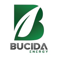 Bucida Energy Sdn. Bhd. logo - Similar company to Bucida Engineering & Consultancy Sdn Bhd