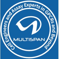 Multispan, Inc. logo - Similar company to Synfini, Inc.