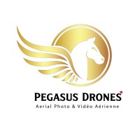 Pegasus Drone logo - Similar company to Prylit || Missile And Drone Detection App Stack