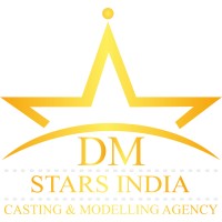 DM Stars India logo - Similar company to The White Wall Studio