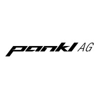 Pankl AG logo - Similar company to Dummer Technik Gmbh
