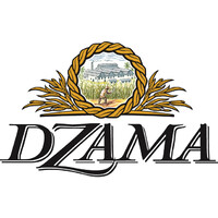 Dzama logo - Similar company to Vidzar