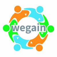 WeGain LTD logo - Similar company to Wegainsolution