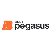 BestPegasus logo - Similar company to Qualight It Solutions