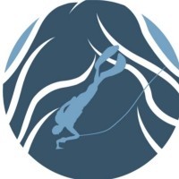 Dive Paraty logo - Similar company to Paraty Convention & Visitors Bureau