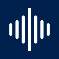 AnalyseVoice logo - Similar company to Otodo