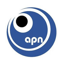 APN Co., Ltd. logo - Similar company to 4Am Group