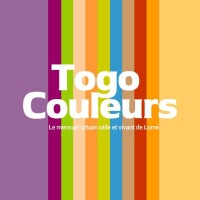 Togo Couleurs logo - Similar company to Togo Wireless