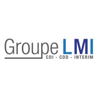 Groupe LMI logo - Similar company to Interim 69