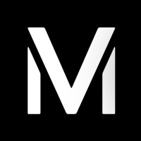 Visionary Minds B.V. logo - Similar company to Teamwork Technology Services Limited