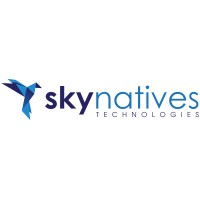 SkyNatives Technologies logo - Similar company to Exebit Technologies