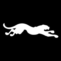 Glass Panther logo - Similar company to Glass & Tabor