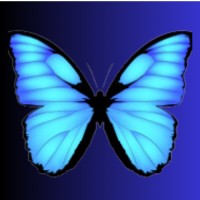 The Liminal Coach logo - Similar company to Software Diagnostics And Observability Institute