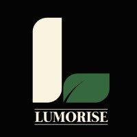 Lumorise logo - Similar company to The Sudo Solutions