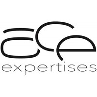 ACE EXPERTISES logo - Similar company to Ace Académie