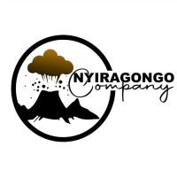 Nyiragongo Company s.a.r.l logo - Similar company to Solidworks Marketing