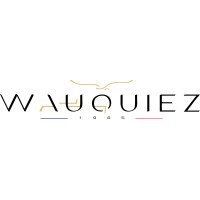 Wauquiez Boats logo - Similar company to Onect Solutions