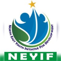 North-East Youth Initiative For Development (NEYIF) logo - Similar company to Center For Information Technology And Development
