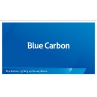 Blue Carbon Technology logo - Similar company to Blue Carbon Projects