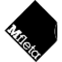 Mediafleta - Information Technology Development Center logo - Similar company to Mega Information Technology & Services