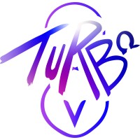 Turbo V8 logo - Similar company to Bytebridge