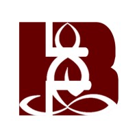 ByteSoft Solutions logo - Similar company to Bytesoft