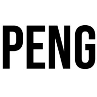 PENG logo - Similar company to Instituto Saúde Aberta
