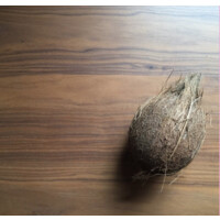 In*Ter*Is*Land Collective