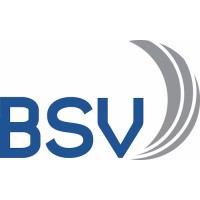BSV Offshore logo - Similar company to Thunder Technologies, Llc