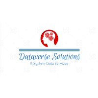 DataVerse Solutions logo - Similar company to Dataverse