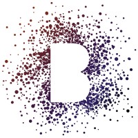 Berg & Associates LLC logo - Similar company to Jmj Talent Solutions, Inc