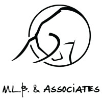 MLB & Associates logo - Similar company to Faye Innovation