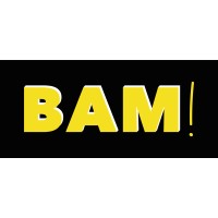 BAM! logo - Similar company to Nimi Vision