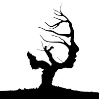 Fundación para la Cultura del Vino logo - Similar company to Meadow Capital Partners