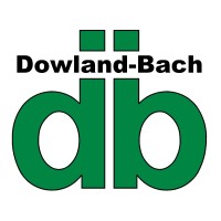 Dowland-Bach logo - Similar company to Electric