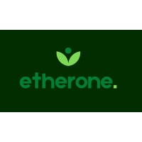 Etherone Finance logo - Similar company to Highlend