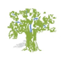 Grafted Olives