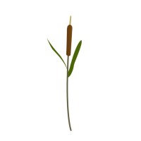 Flatwater Ventures logo - Similar company to Nano Drying Technologies