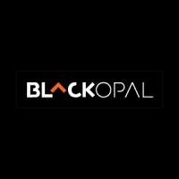 Blackopal Group logo - Similar company to Black Opal Inc