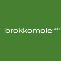 Brokkomole Corporation SL logo - Similar company to Melón Platinum