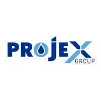 Projex Group logo - Similar company to Local Kitchen Co