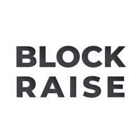 BLOCKRAISE logo - Similar company to Exabrain