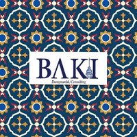 Baki International Consulting logo - Similar company to Astramedica