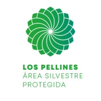 Los Pellines Area Silvestre Protegida logo - Similar company to Terraforest