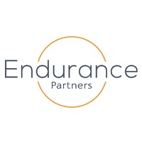 Endurance Partners logo - Similar company to Hydralectric Group Ltd