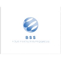 BSS Consultancy logo - Similar company to Bss Capital