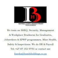 BAMBILIZWE INVESTMENTS HOLDINGS logo - Similar company to Ams Technologies (Pty) Ltd